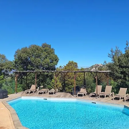 Апартаменты Rondinara Porto-vecchio Сотта